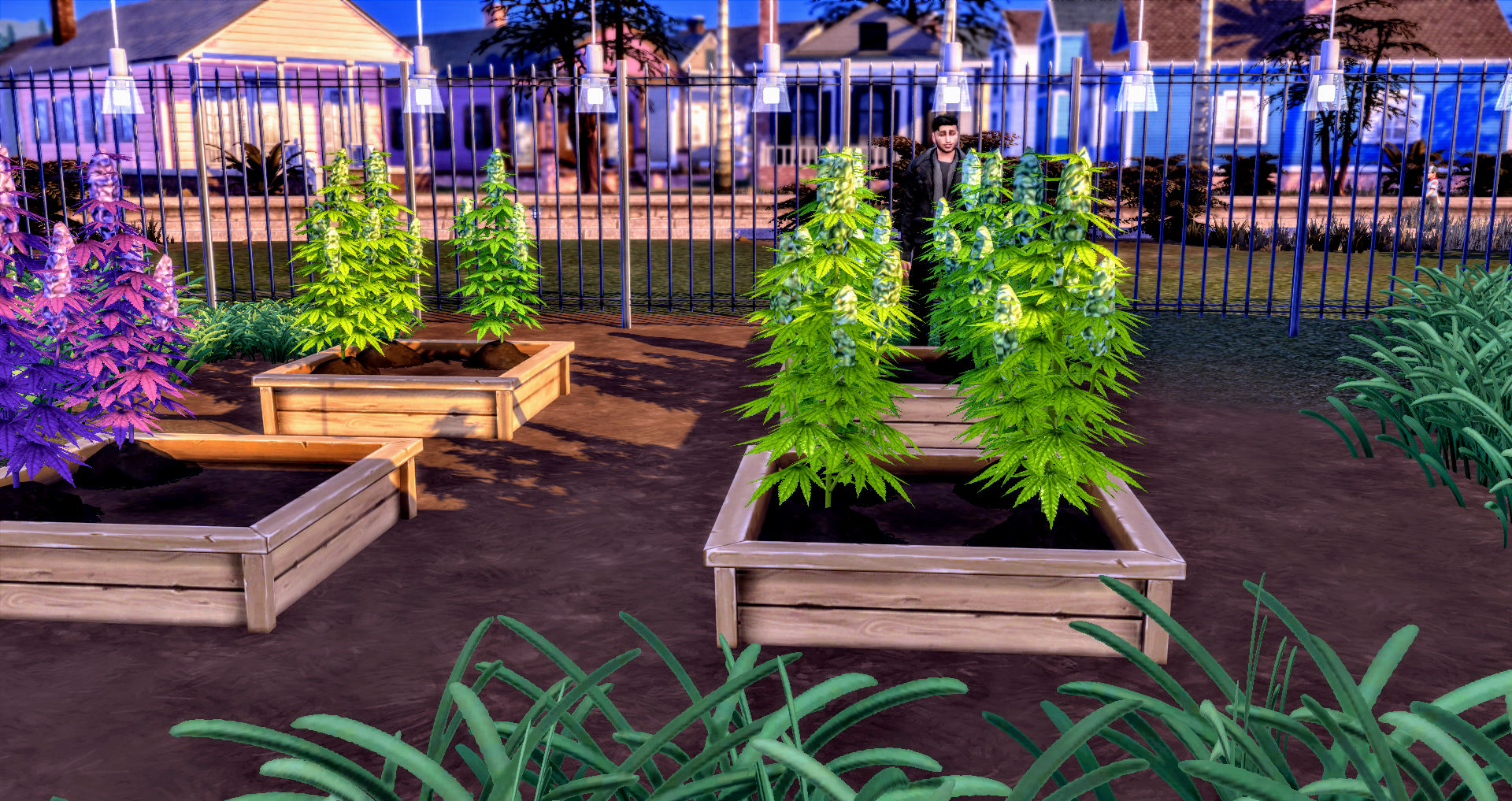 THE SIMS 4 BASEMENTAL DRUGS MOD WEED GROWING GUIDE ...

